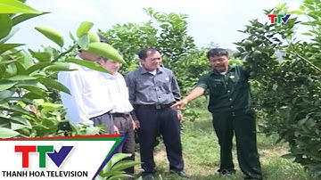 Hội Cựu chiến binh tỉnh sơ kết nhiệm vụ 6 tháng đầu năm 2017