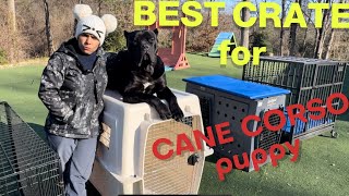 Which CRATE to choose for CANE CORSO puppy #canecorso #dogtraining #dog