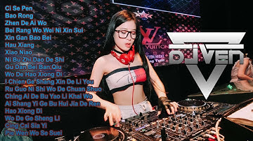 DJ Golden Crown Ci Se Pen x Bao Rong Funkot Remix Nonstop 2 Jam Full Mandarin