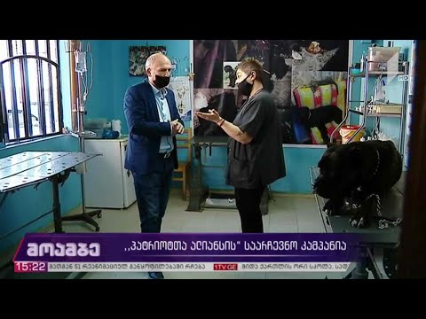 #არჩევნები2020 „პატრიოტთა ალიანსის“ საარჩევნო კამპანია