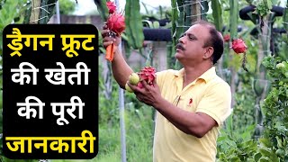 ड्रैगन फ्रूट की खेती की पूरी जानकारी || dragon Fruit ki kheti || Dragon Fruit Farming in India screenshot 2