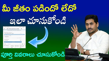 how to get salary bill details || and bill numbers in CFMS | Volunteer Salary Status check online