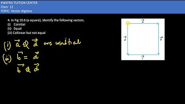 4. In Fig 10.6 (a square), identify the following vectors.(i) Coinitial (ii) Equal(iii) Collinear