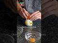 $5 EGG SEPARATOR?