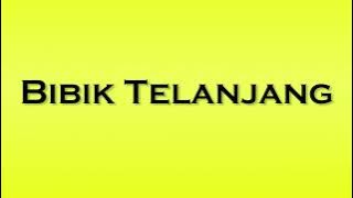 Pronunciation of Bibik Telanjang