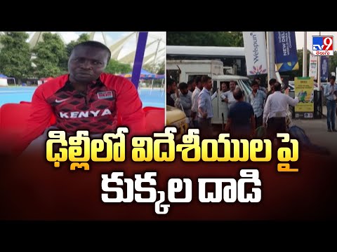 ఢిల్లీలో విదేశీయుల పై కుక్కల దాడి  - TV9 - TV9