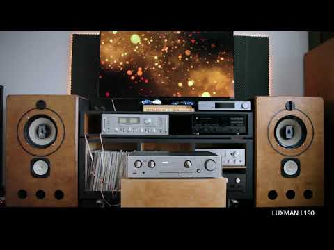 LUXMAN L190