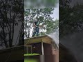 gutter cleaning at its finest!  #guttercleaning #pressurewashing #windowcleaning