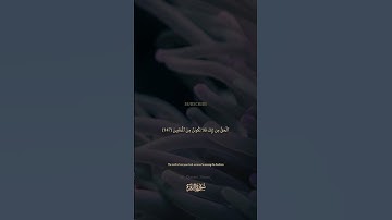 147 سورة البقرة: التلاوة المعبرة مع الترجمة الإنجليزية