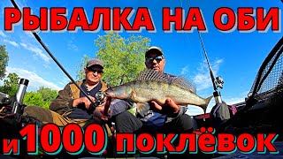 Рыбалка на Оби на лодке Волжанка 46 фиш! ПОПАЛИ НА БЕЗУМНЫЙ ВЫХОД СУДАКА С КАЖДОГО ЗАБРОСА!