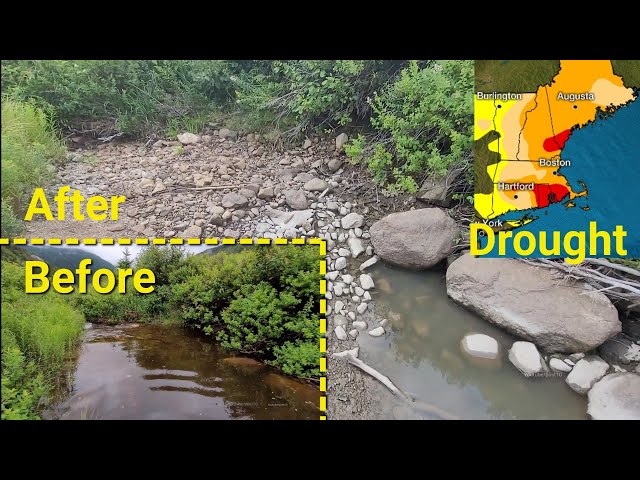 Water Erosion Before And After Naturebasedsolutions | Nature Based