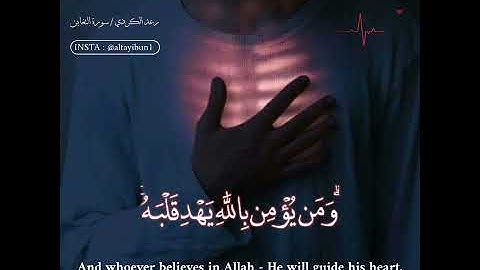 رعد الكردي | حالات واتس | سورة التغابن 🖤