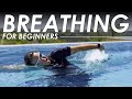 Freestyle swimming breathing technique  stepbystep drills for beginners