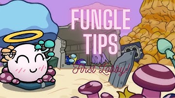 Fungle Map Tips | Among Us