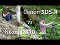 5DS-R vs D810 vs 5D Mk III: Landscape Photography (with tips!)