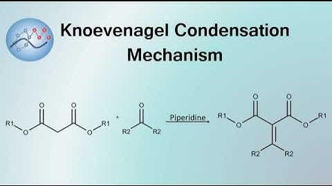 Knoevenagel Condensation Mechanism | Organic Chemistry