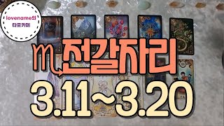[타로/별자리운세] ♏전갈자리♏【3/11~3/20】 운의 흐름
