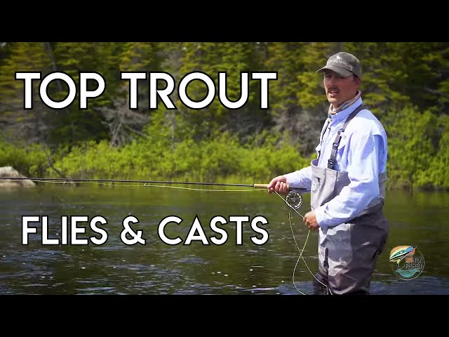 Top Fly Patterns for Big Brook Trout