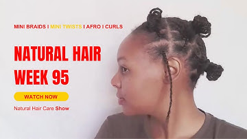Mini Braids After Blow Dry | 4C Hair Protective Style | Week 95