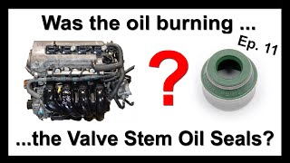 Did the valve stem oil seals stop the oil consumption? | Oil BurningExperiments | Episode 11