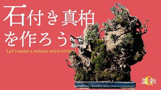 【真柏】のりも使う⁉石付き盆栽の作り方【盆栽Q】How to make a bonsai with stones