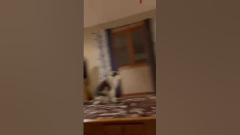 Lab 1 Sport Movement Analysis