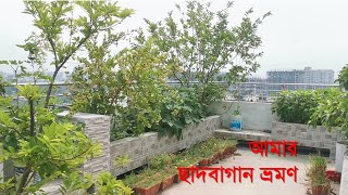 আমার পুরো ছাদবাগান | May 2022 | The Green Practice | Rooftop Garden