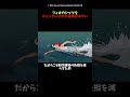 【紅の豚】フィオのシャツをチェックしてみた結果がエグい　#ジブリ　#紅の豚