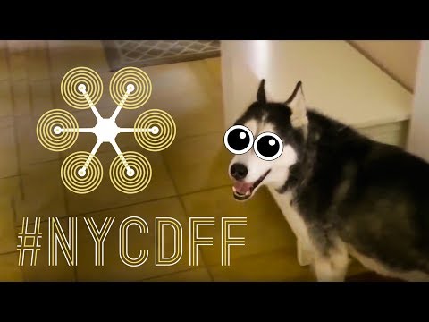 New York City Drone Film Festival IV show open