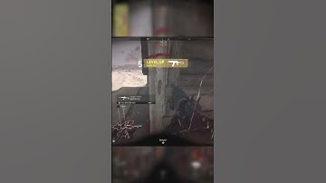 How I Unlocked The M13B in MW2