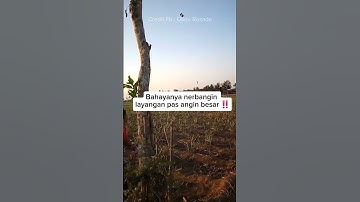 Bahaya kalau angin besar ‼️ nyawa jadi taruhan 😢 #layangan #shorts #anginkencang