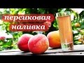 Рецепт наливки из персиков от Алкофана