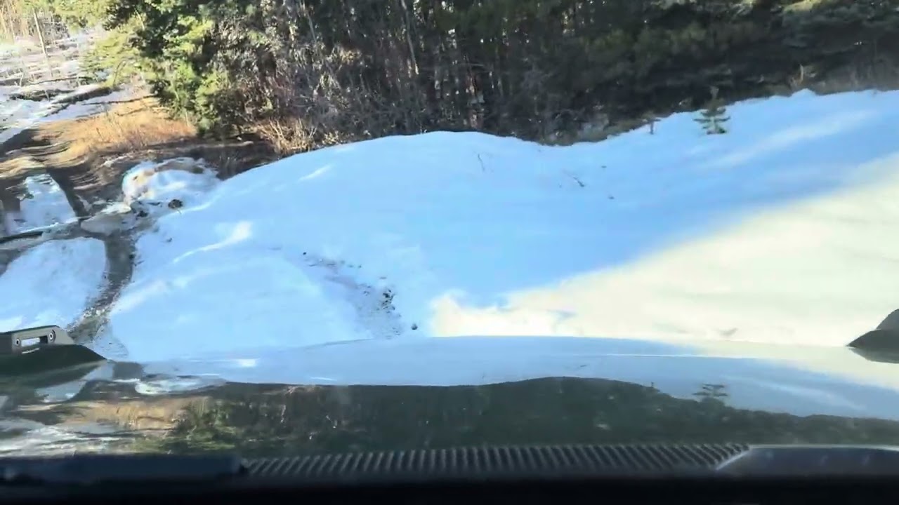 Old Flowers Road 2, Colorado - Nov 25, 2024