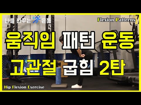 13. 고관절 운동 2탄 (Hip flexion) #골반교정운동 #고관절찝힘 #고관절통증