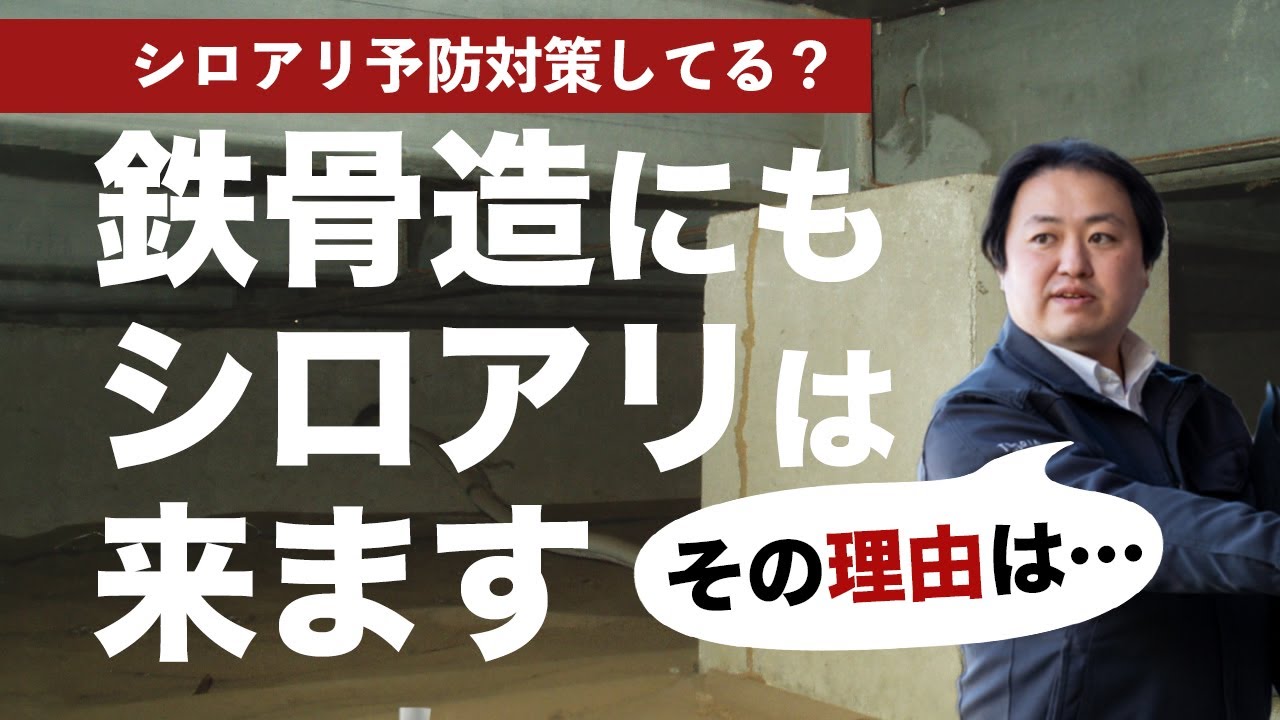 鉄骨造でもシロアリ被害にあうって本当？