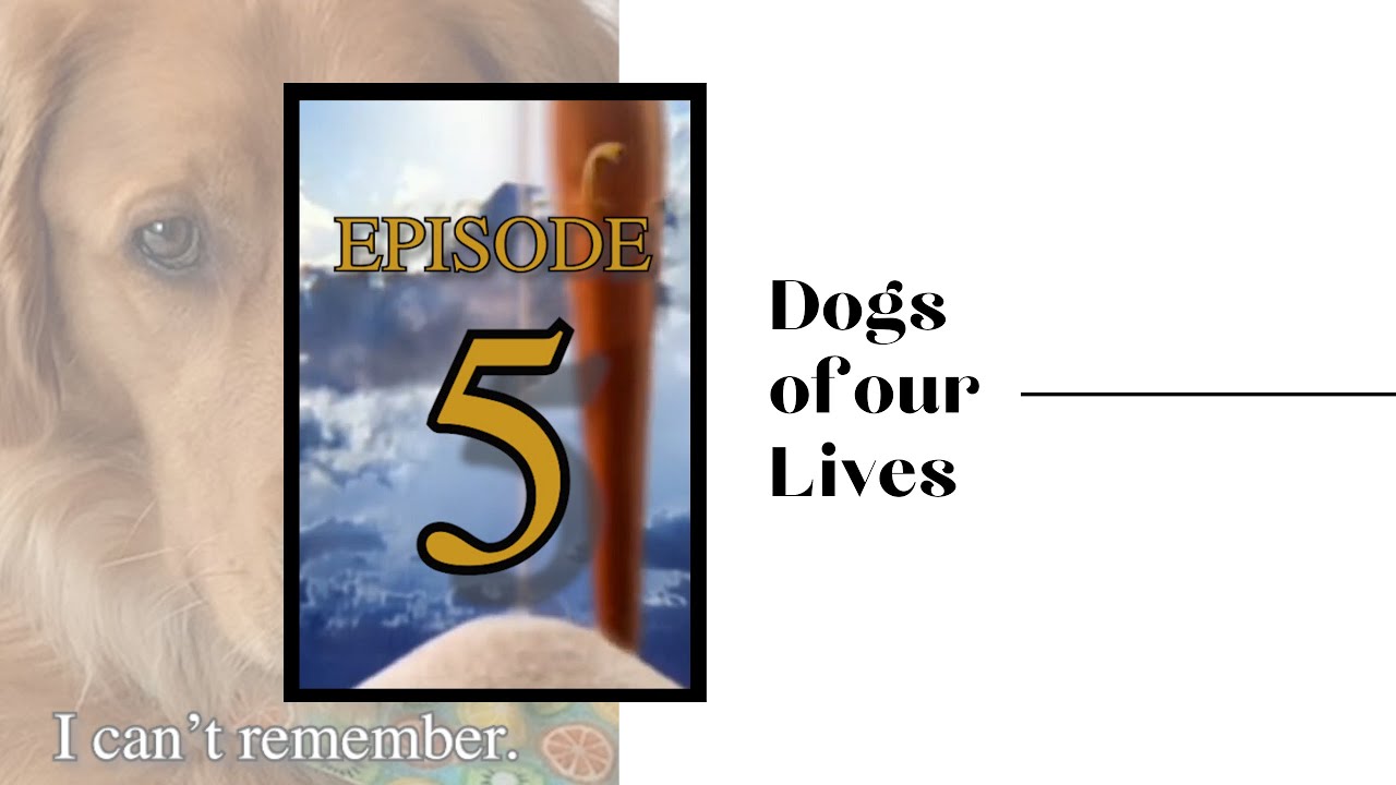 DOGS OF OUR LIVES | EP 5