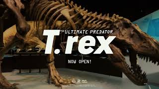 T. rex: The Ultimate Predator