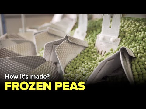 How frozen peas are made? Inside Factory -