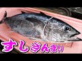 奇跡的に獲れたマグロ！小豆島漁師が"初すしざんまい"に挑戦！