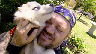 HUSKY SIBERIANO, O CACHORRO DA NEVE! | RICHARD RASMUSSEN