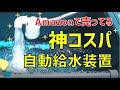 【1000円】Amazonの神コスパ自動給水装置がすごい