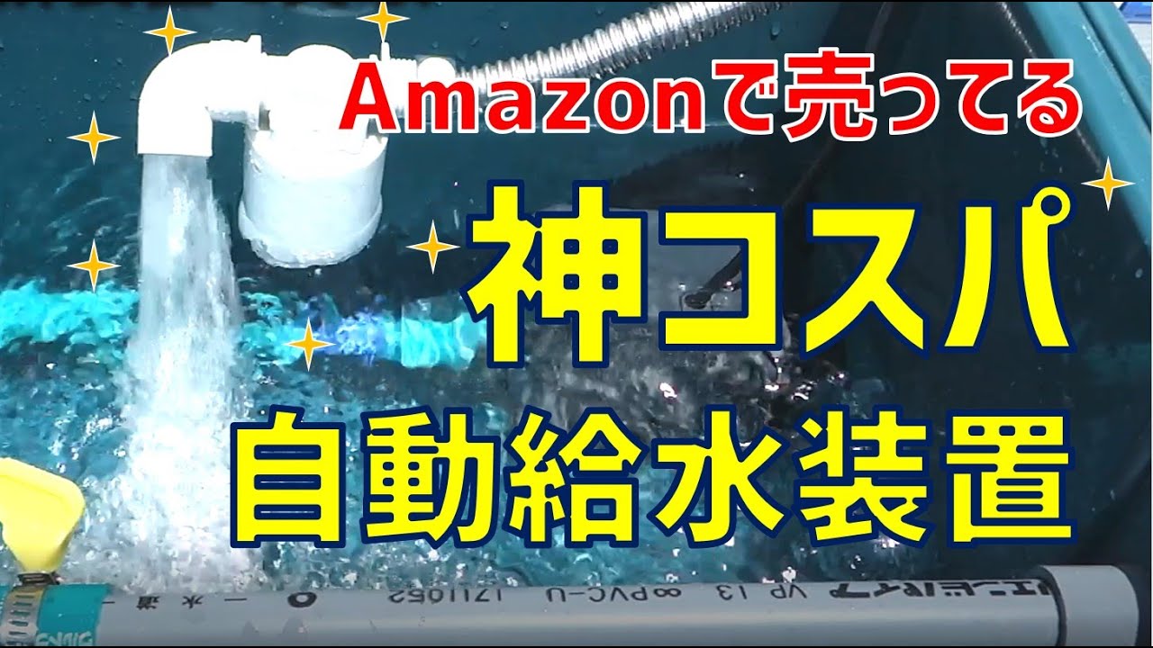 1000円 Amazonの神コスパ自動給水装置がすごい Youtube