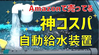 【1000円】Amazonの神コスパ自動給水装置がすごい