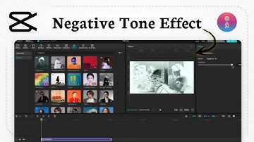 Kleuren omkeren in CapCut (Tone Edit)