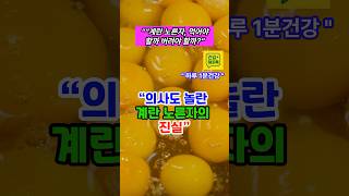 [건강정보] “ 계란 노른자, 먹어야 할까 버려야 할까?” #건강해피톡 #건강정보 #건강숏츠 #건강습관 #중장년건강 #건강관리 #건강루틴 #shorts
