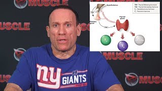 Thyroid Hormone Explained by Dave Palumbo