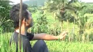 Download Lagu suara (hijau daun) versi cirama MP3