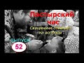 Пастырский час на Радио "Град Петров". Выпуск 52