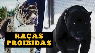 7 raças de cachorros que são ilegais e proibidas em partes do mundo