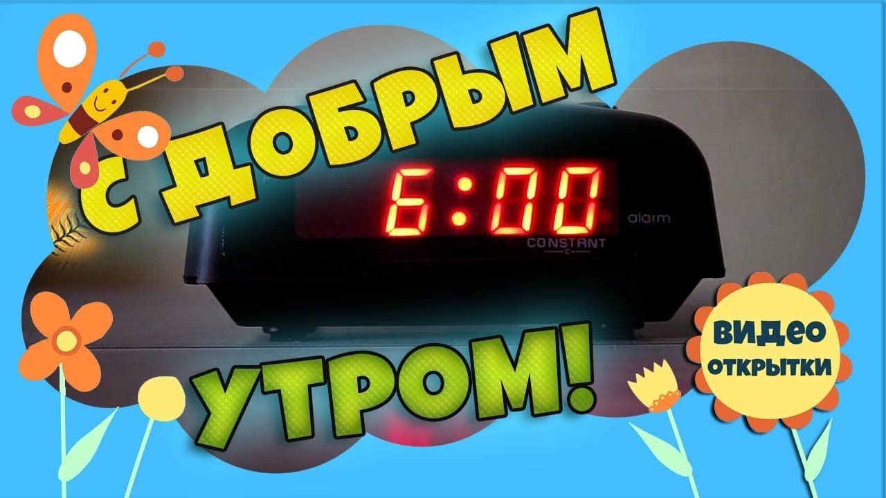 Скворец 5 букв - ответ на сканворд или кроссворд Рецептуры из тесто катаифи » Кулинарные рецепты с фото